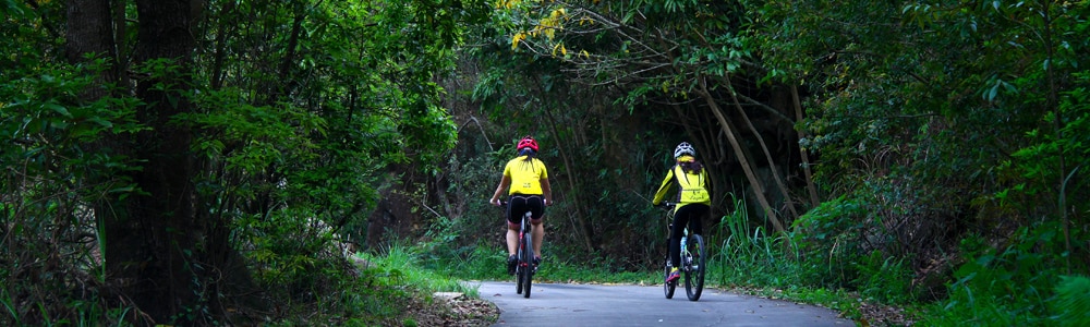 ebikefully