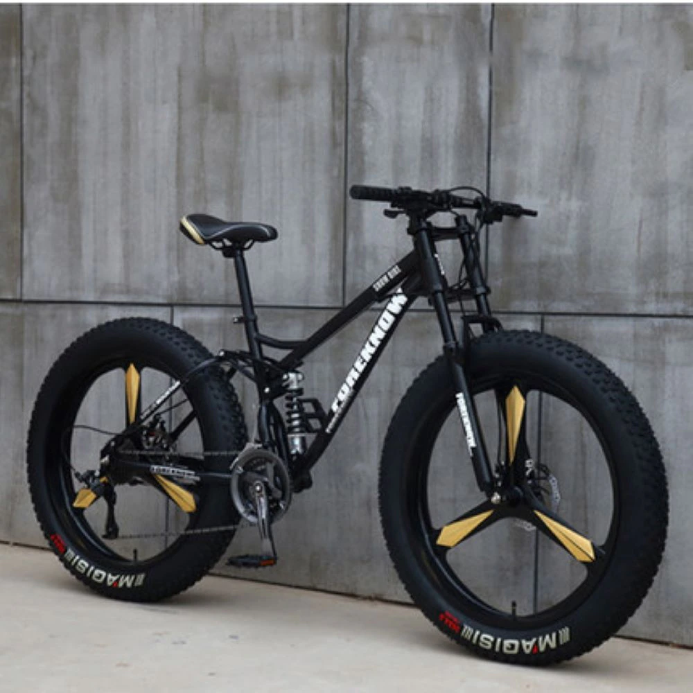ebikefully