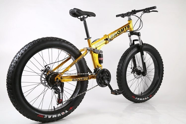 ebikefully