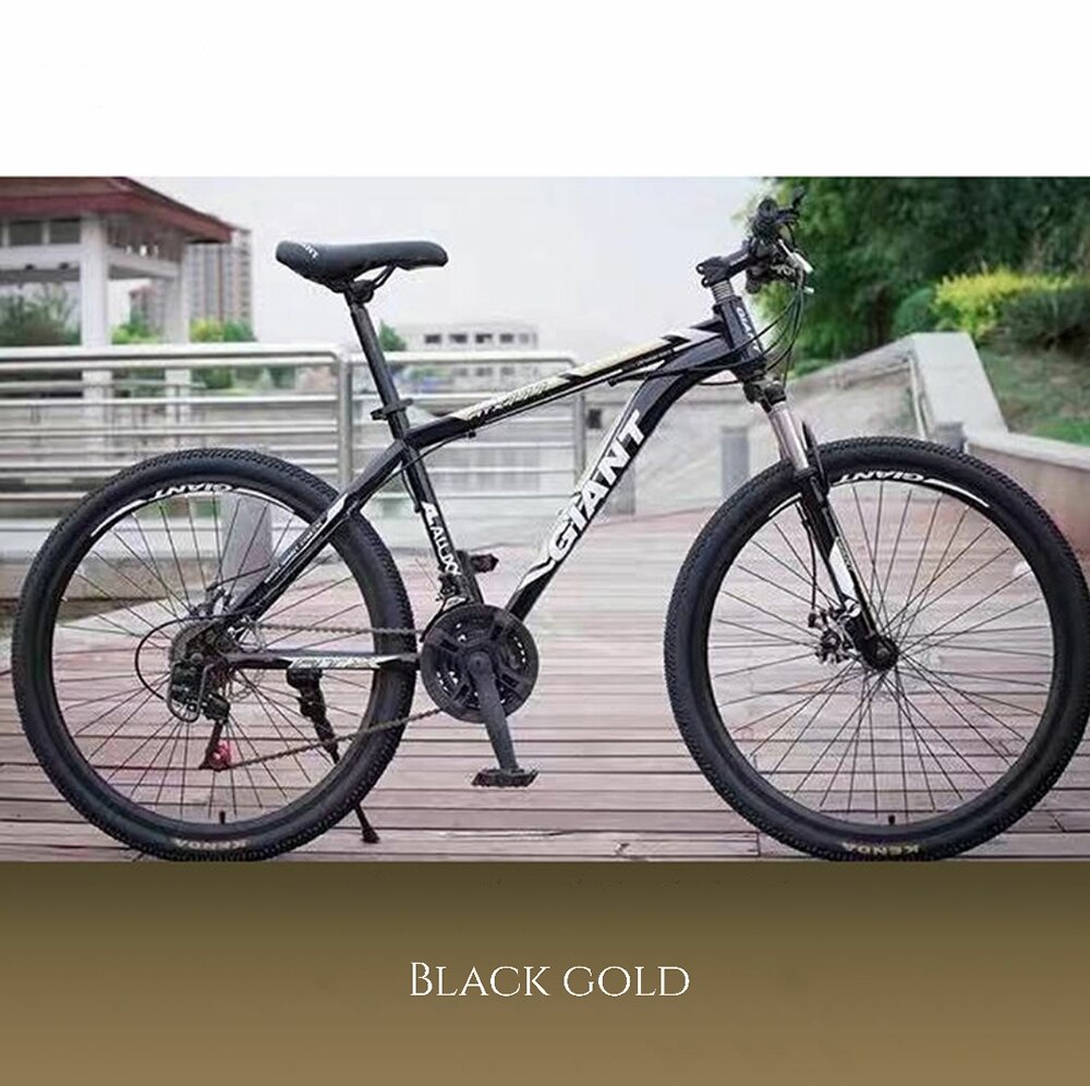 ebikefully
