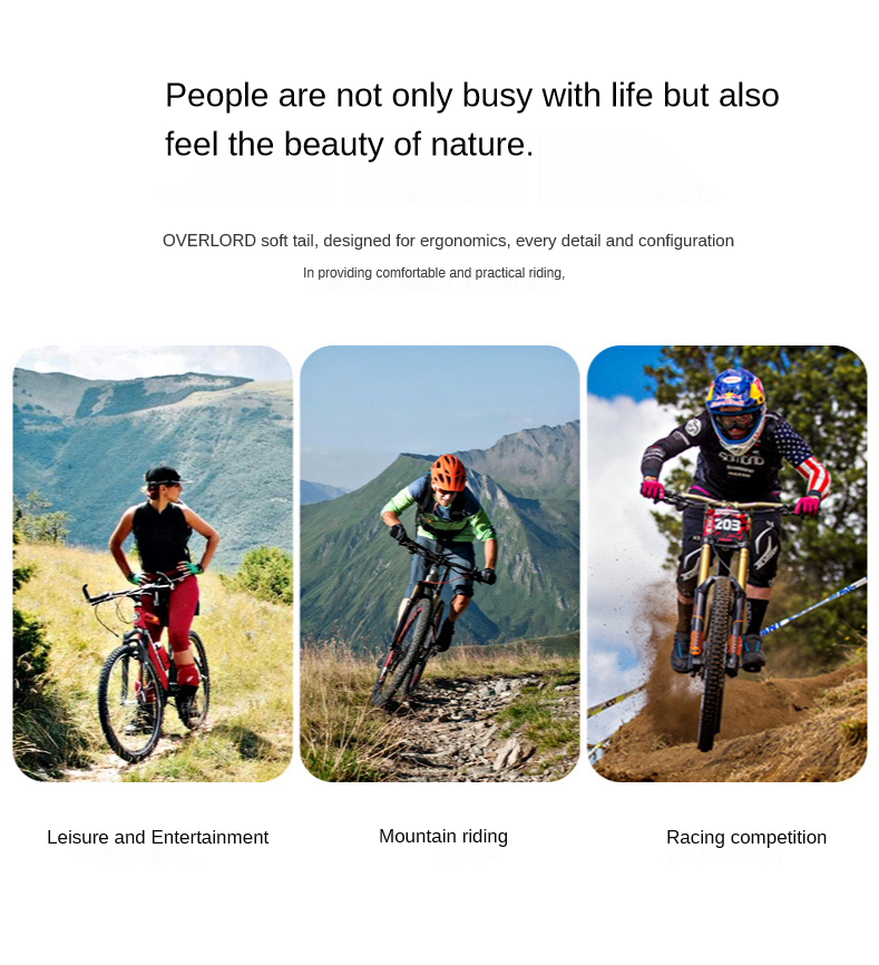 ebikefully