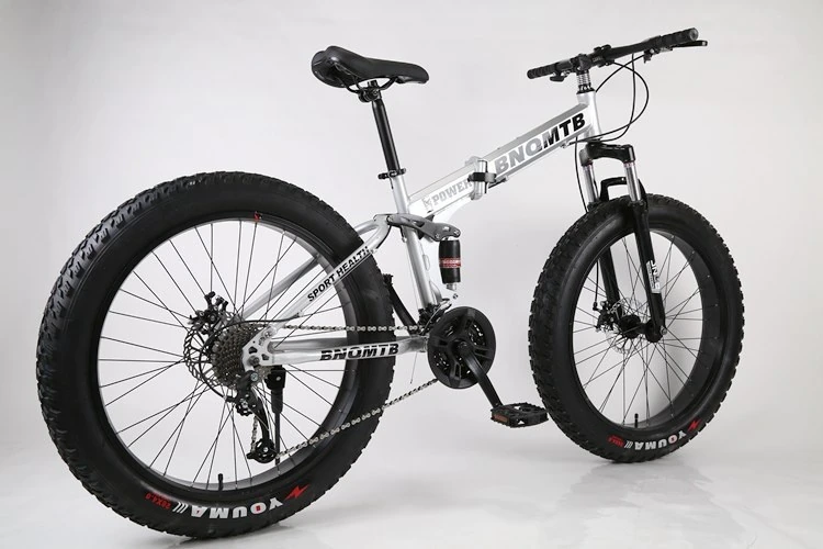 ebikefully