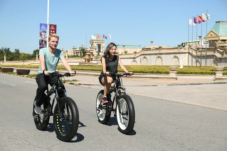 ebikefully