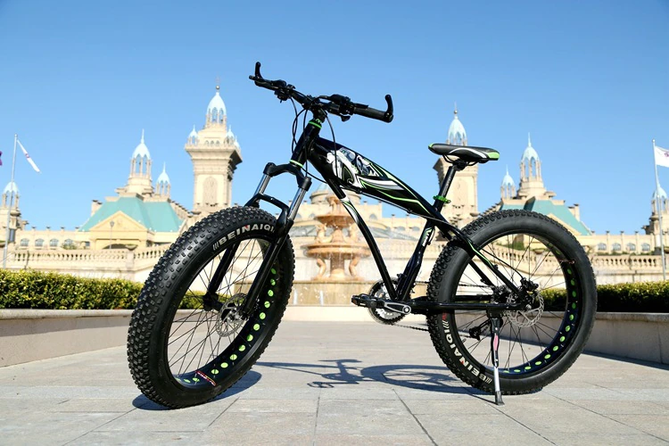 ebikefully