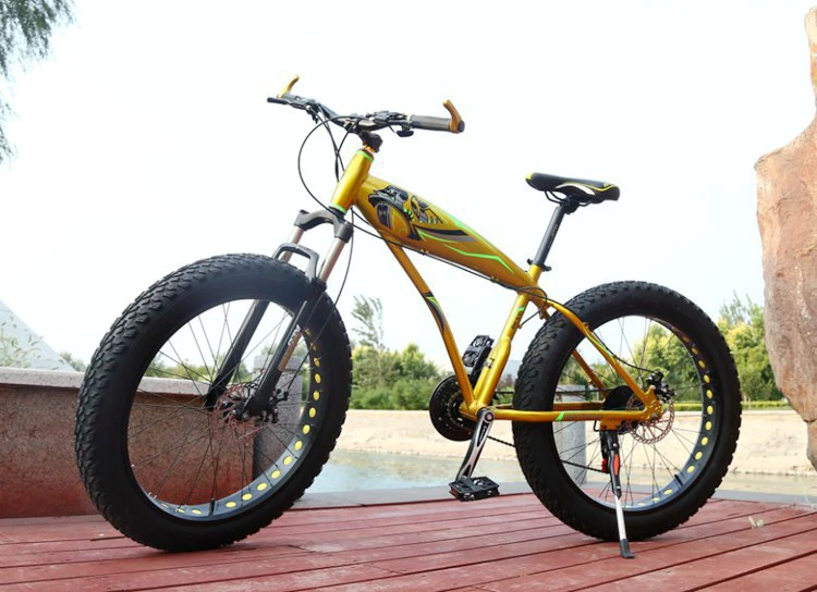 ebikefully