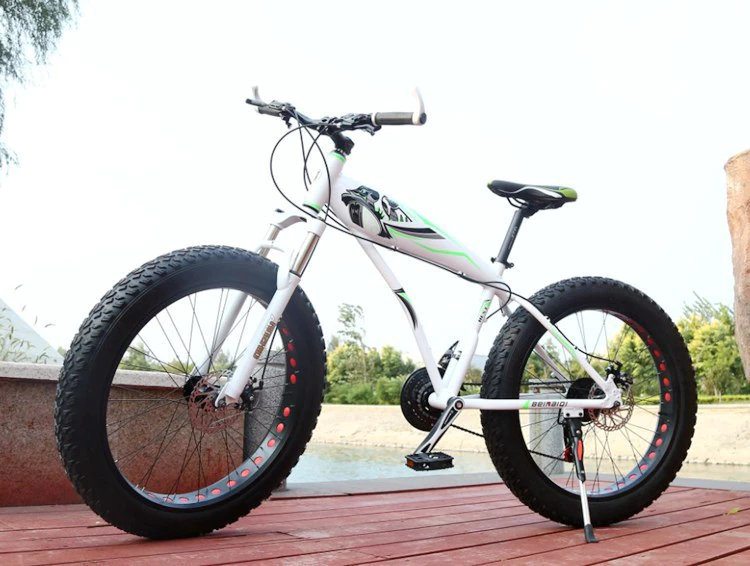 ebikefully