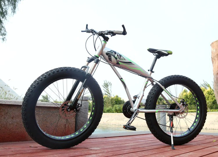 ebikefully