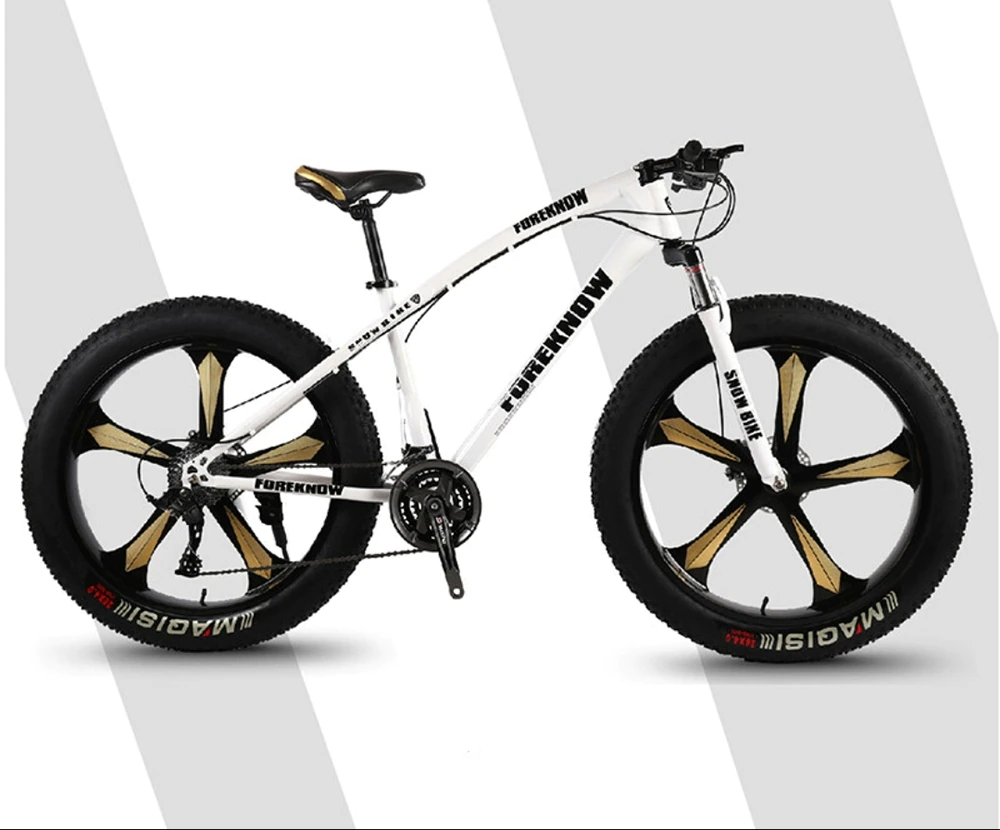 ebikefully