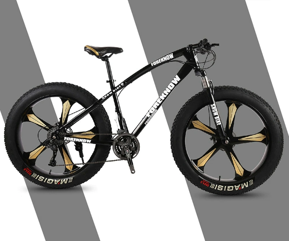ebikefully