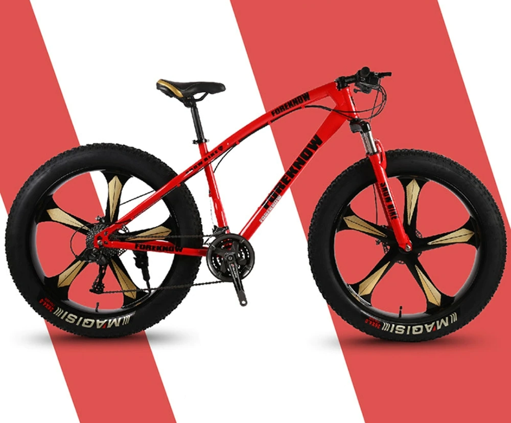 ebikefully