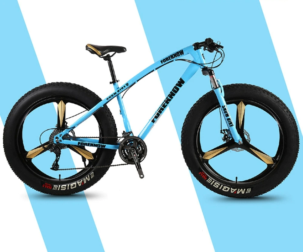 ebikefully