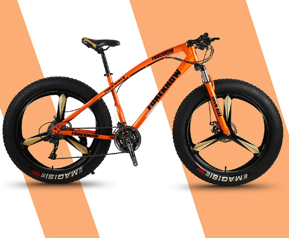 ebikefully