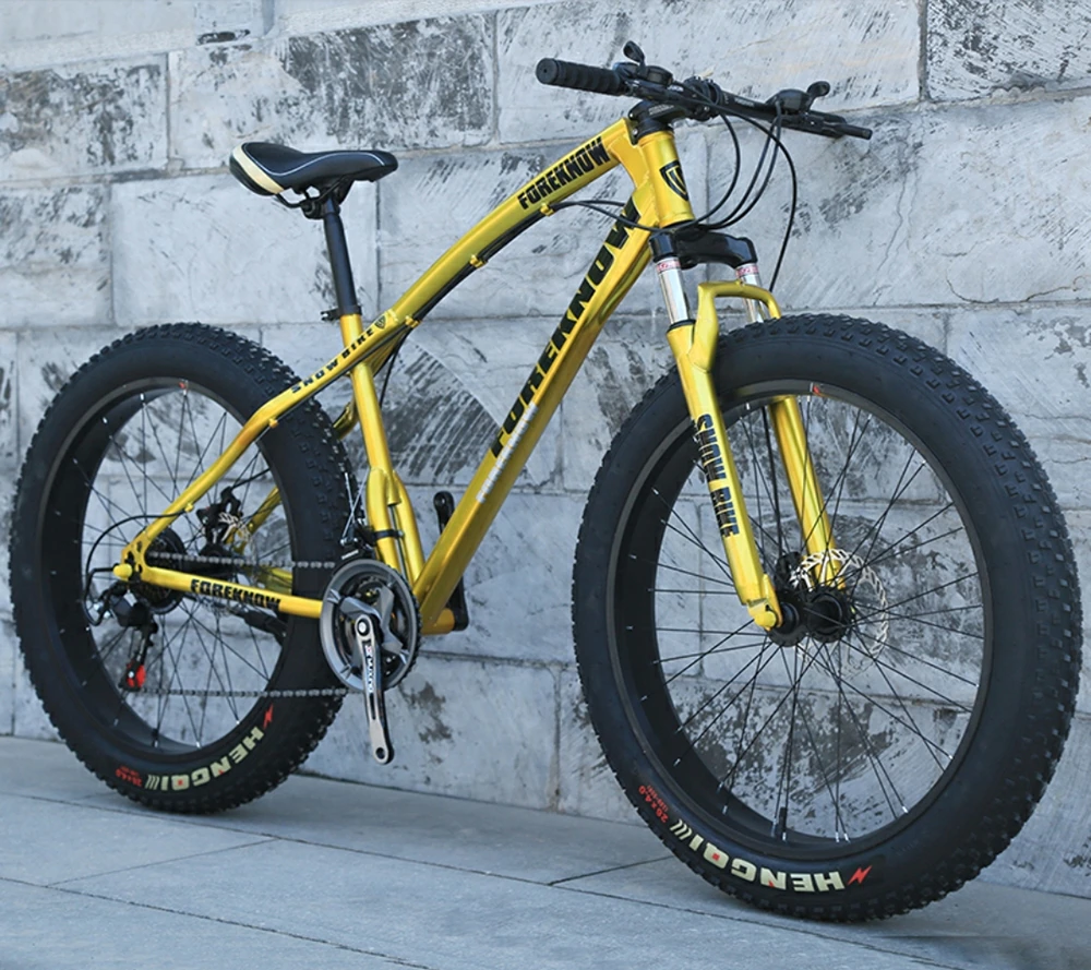 ebikefully