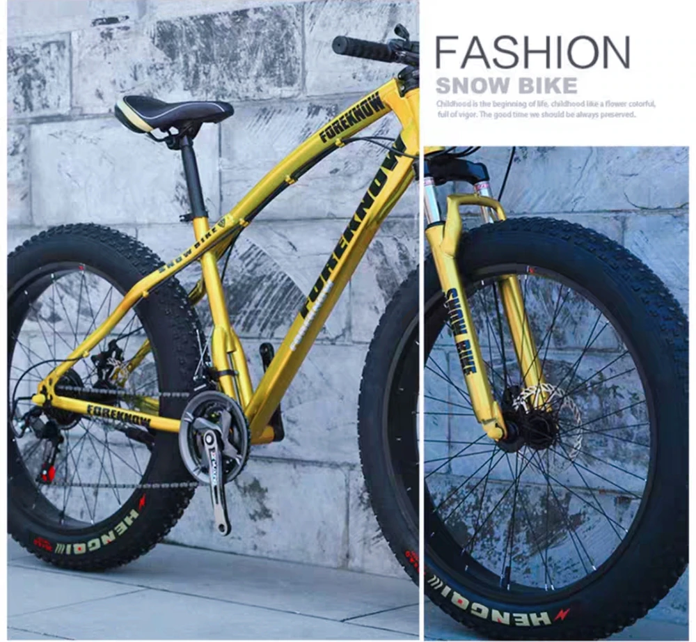 ebikefully