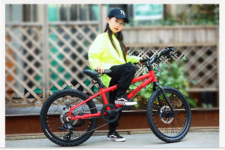 ebikefully