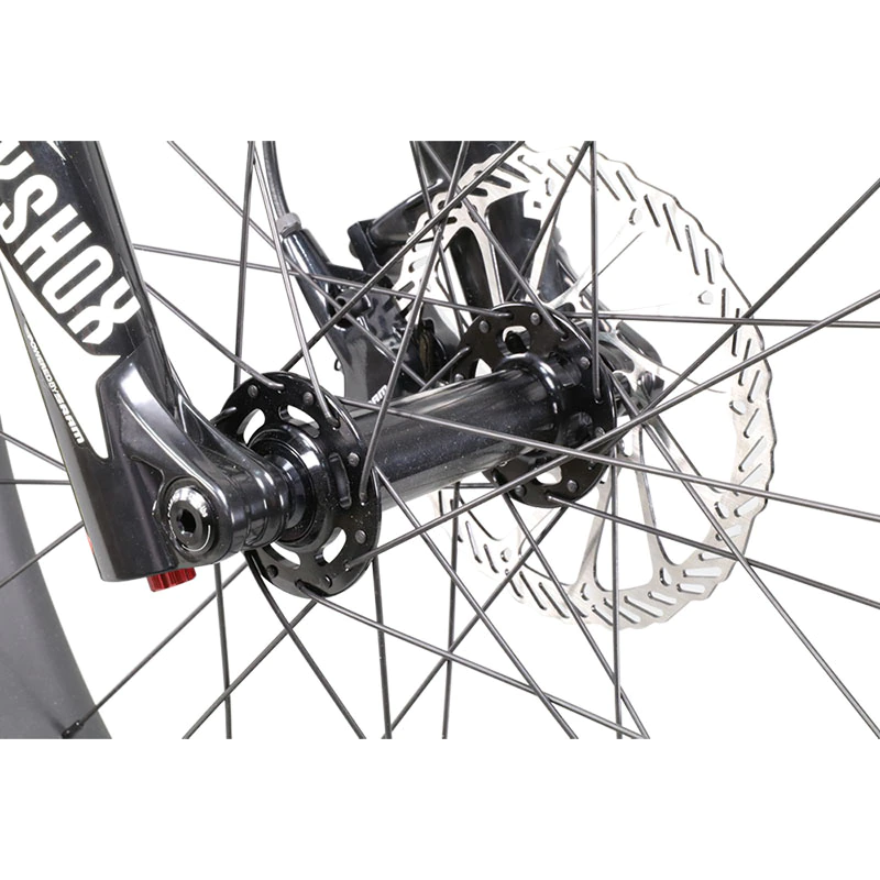 ebikefully