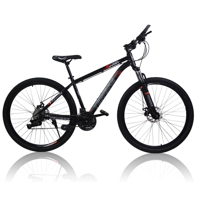 ebikefully